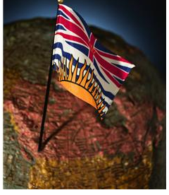 canadian mma law amateur combat sports in bc